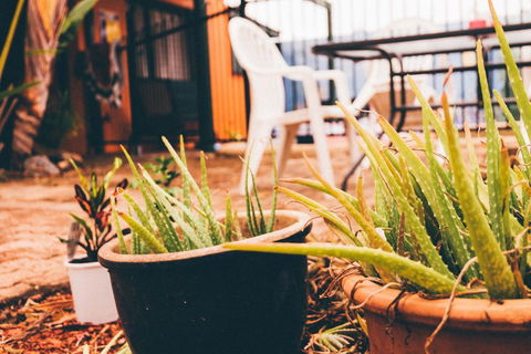 JJs Backpackers Hostel - Schoolies Week Accommodation 2