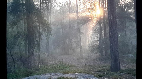 Lucky Mountain Cottage - Schoolies Week Accommodation 1
