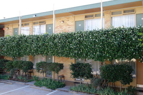 Mid City Motor Inn Queanbeyan - Schoolies Week Accommodation 1