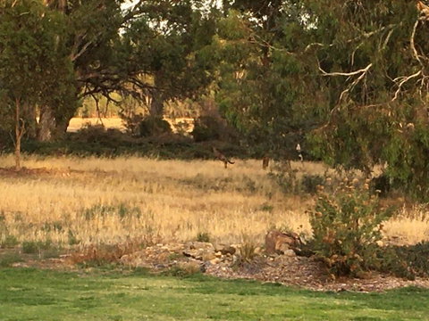 Murrord Wetlands - Schoolies Week Accommodation 3