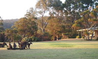 Book Walpole Accommodation Vacations Schoolies Week Accommodation Schoolies Week Accommodation