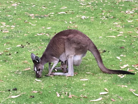 Tegwan's Nest Holiday Home - Schoolies Week Accommodation 1