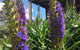 Tegwan's Nest Holiday Home - thumb 41