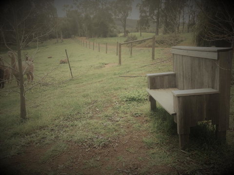 Tegwan's Nest Holiday Home - Schoolies Week Accommodation 43