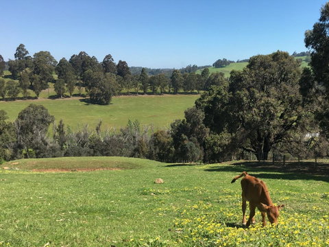 Balingup Highview Chalets - Schoolies Week Accommodation 23