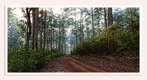 Oak Tree Barn Bridgetown - Schoolies Week Accommodation 14