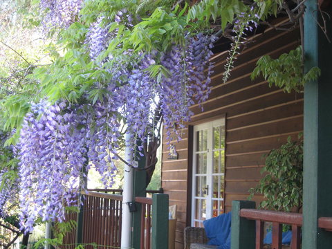 RoseMoore Bed & Breakfast - Schoolies Week Accommodation 11