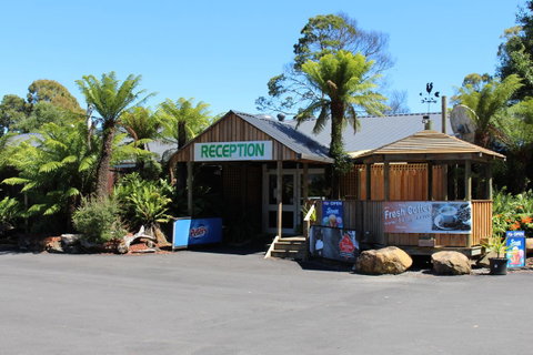 Tullah Lakeside Lodge - Schoolies Week Accommodation 5