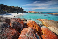 Homelea Accommodation