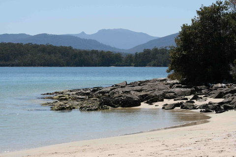 Driftwood - Schoolies Week Accommodation 14