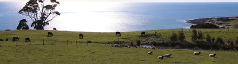 Penguin Seaside Farm - Schoolies Week Accommodation 2