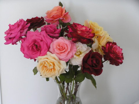 Auldington Hotel - Schoolies Week Accommodation 30