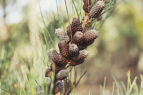 Oyster Cove Chalet - Schoolies Week Accommodation 30