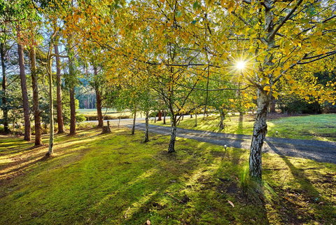 Oyster Cove Chalet - Schoolies Week Accommodation 1