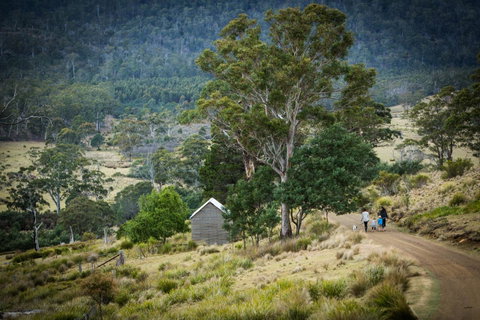 Twamley Farm - Schoolies Week Accommodation 16