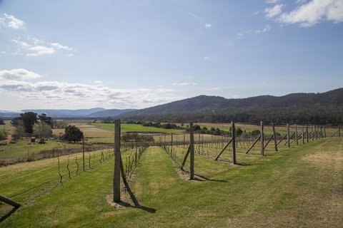 Twamley Farm - Schoolies Week Accommodation 7