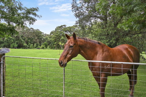 NUNGAROO COTTAGE - Schoolies Week Accommodation 3