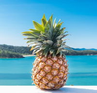 Pineapple House Whitsundays - Schoolies Week Accommodation