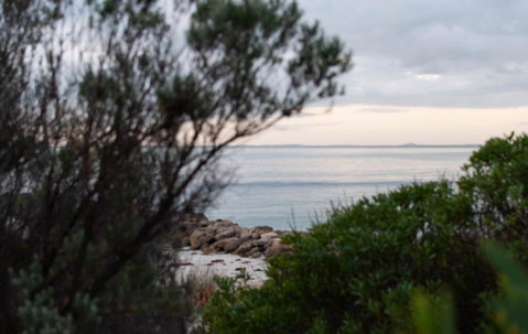 Polperro, A Quintessential Seaside Experience - Schoolies Week Accommodation 1