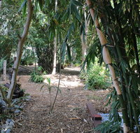 Rainforest Water Front River Shack Secluded. - Schoolies Week Accommodation