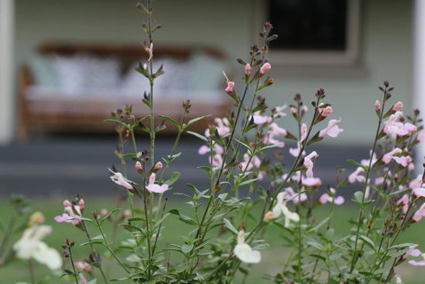 Serendipity On Allyn - Schoolies Week Accommodation 0