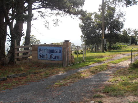 Springmead B&B - Schoolies Week Accommodation 2