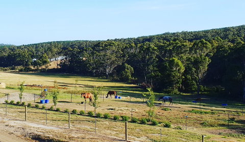 Lockleigh Park - Schoolies Week Accommodation 19