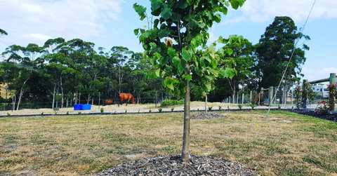 Lockleigh Park - Schoolies Week Accommodation 5