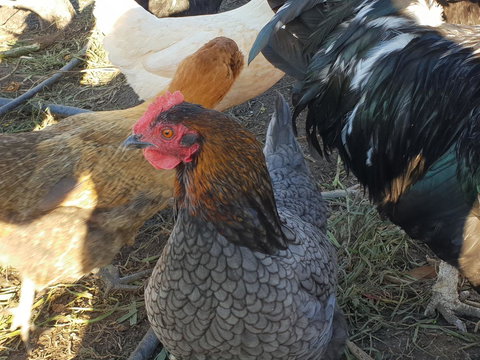 Lockleigh Park - Schoolies Week Accommodation 27