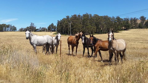Lockleigh Park - Schoolies Week Accommodation 28