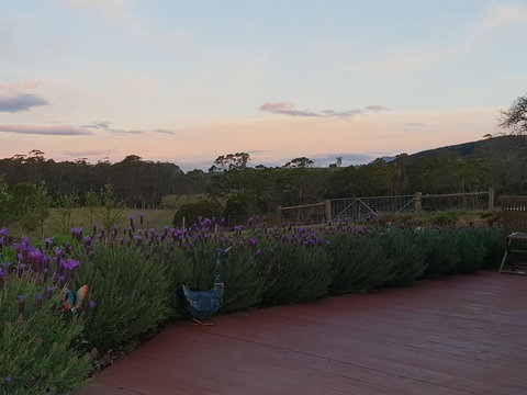 Lockleigh Park - Schoolies Week Accommodation 23