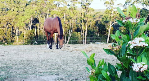 Lockleigh Park - Schoolies Week Accommodation 20