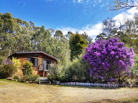 Southern Forest Accommodation - Schoolies Week Accommodation 10