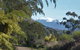 Southern Forest Accommodation - thumb 24
