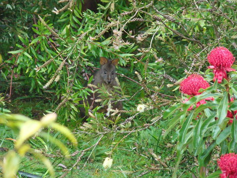 Southern Forest Accommodation - Schoolies Week Accommodation 12