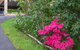 Maria Views Bed & Breakfast - thumb 2
