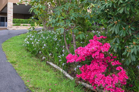 Maria Views Bed & Breakfast - Schoolies Week Accommodation 2