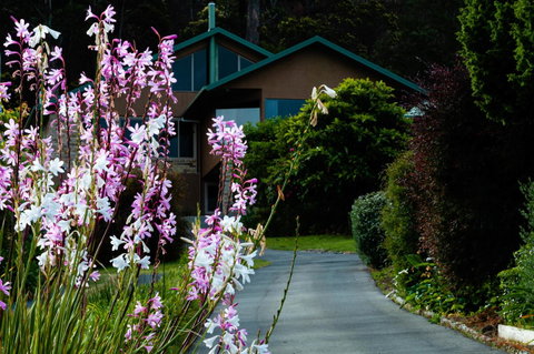 Maria Views Bed & Breakfast - Schoolies Week Accommodation 6