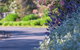 Maria Views Bed & Breakfast - thumb 3