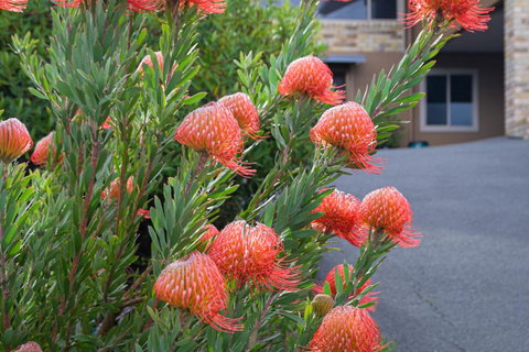 Maria Views Bed & Breakfast - Schoolies Week Accommodation 1