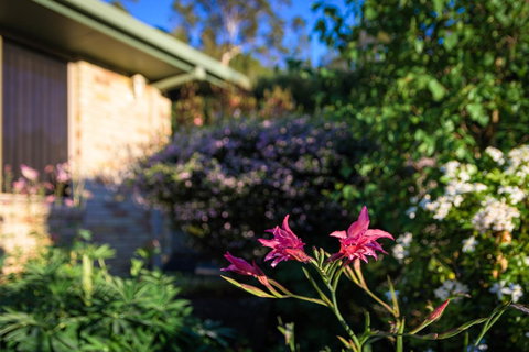 Maria Views Bed & Breakfast - Schoolies Week Accommodation 4