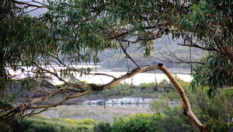 KINGFISHER COTTAGE Beachfront At The Binalong Bay - Schoolies Week Accommodation 17