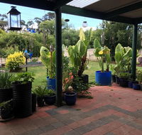 Blue Wren Bungalow - Schoolies Week Accommodation