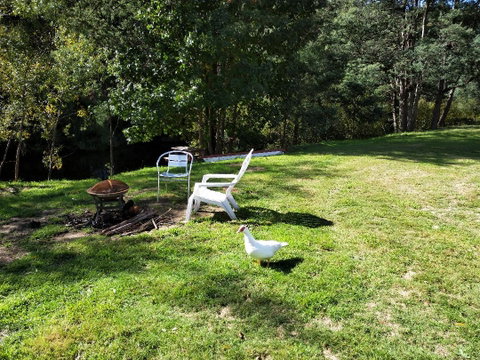 Wanderlust Cottage - Schoolies Week Accommodation 18