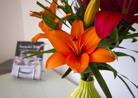 Bellerive Marina View Apartments No 28 - Schoolies Week Accommodation 17