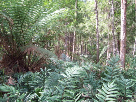 St. Pauls Bed & Breakfast - Schoolies Week Accommodation 15