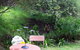 St. Pauls Bed & Breakfast - thumb 12