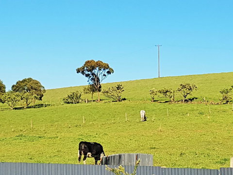 Coragulac House Cottages - Schoolies Week Accommodation 20