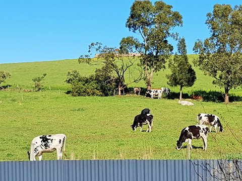 Coragulac House Cottages - Schoolies Week Accommodation 22