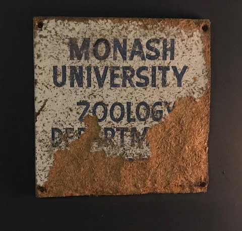 Coragulac House Cottages - Schoolies Week Accommodation 40